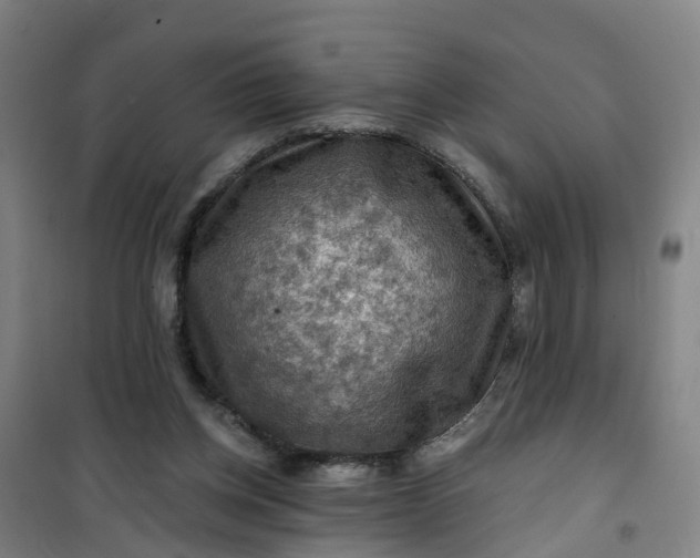 X0000101090158200807101557