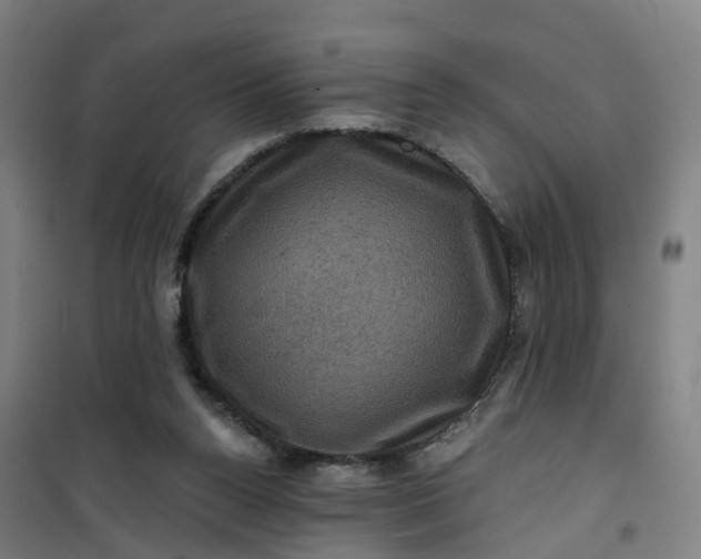 X0000101090160200807101557