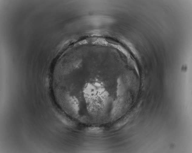 X0000101090161200807101557