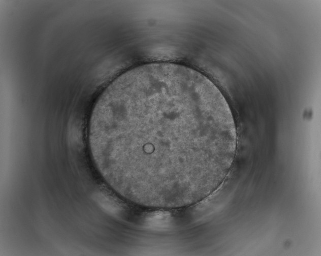 X0000101090162200807101557