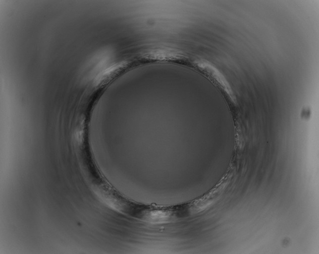 X0000101090163200807101557