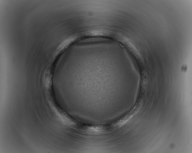 X0000101090164200807101557