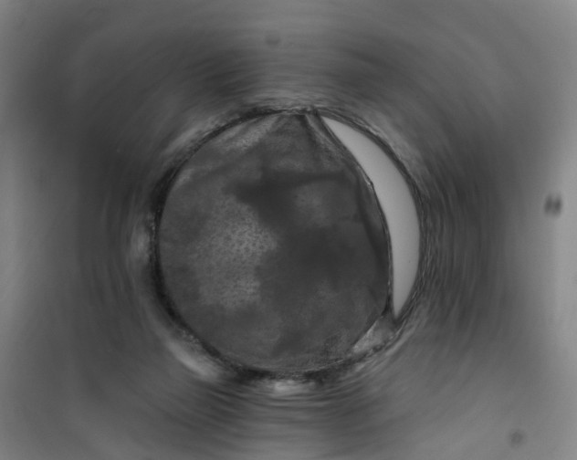 X0000101090165200807101557