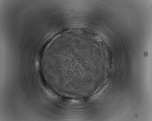 X0000101090166200807101557