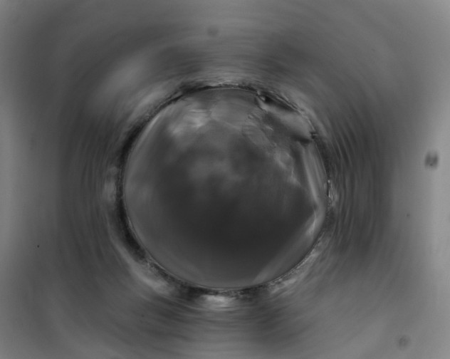 X0000101090167200807101557