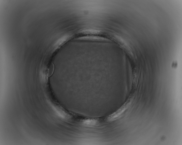 X0000101090168200807101557