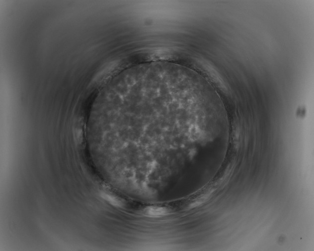 X0000101090169200807101557