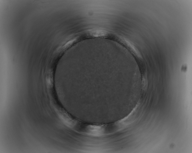 X0000101090170200807101557