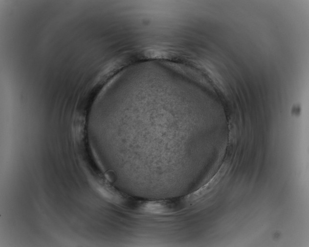 X0000101090171200807101557