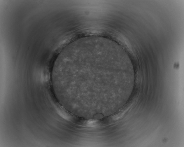 X0000101090173200807101557