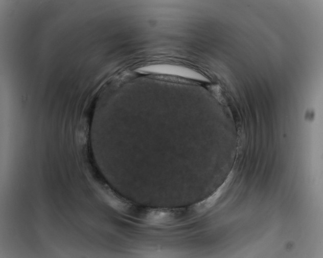 X0000101090174200807101557