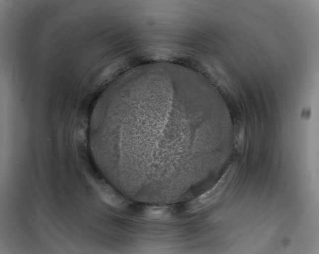 X0000101090175200807101557