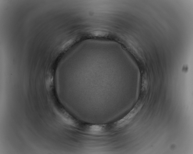 X0000101090176200807101557