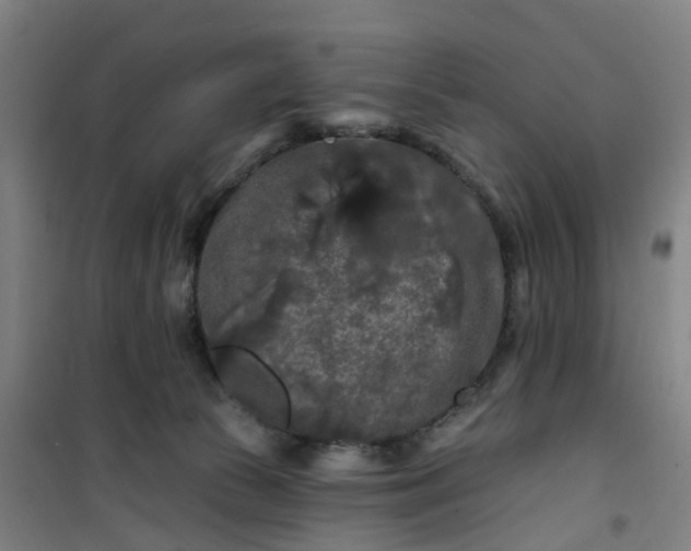 X0000101090177200807101557