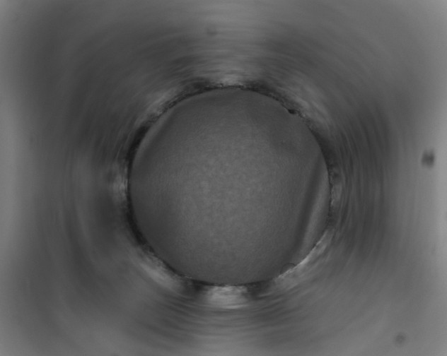 X0000101090179200807101557