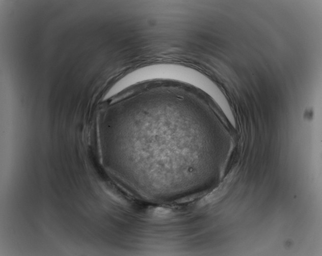 X0000101090180200807101557