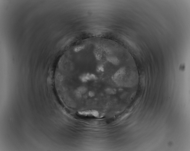 X0000101090181200807101557