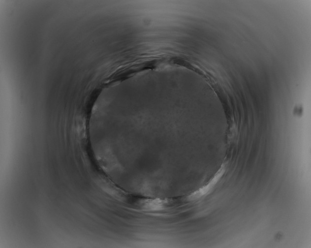 X0000101090182200807101557