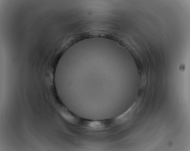 X0000101090183200807101557