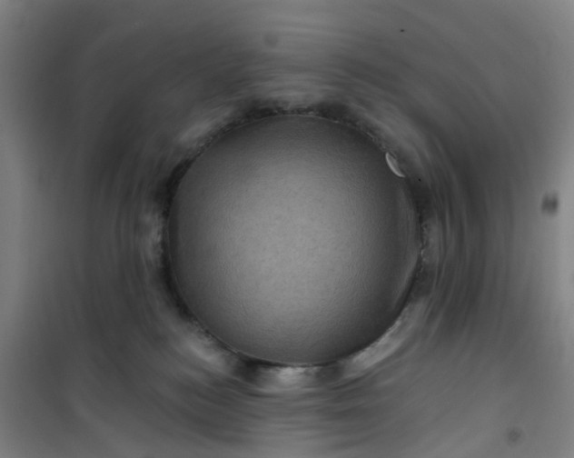 X0000101090184200807101557