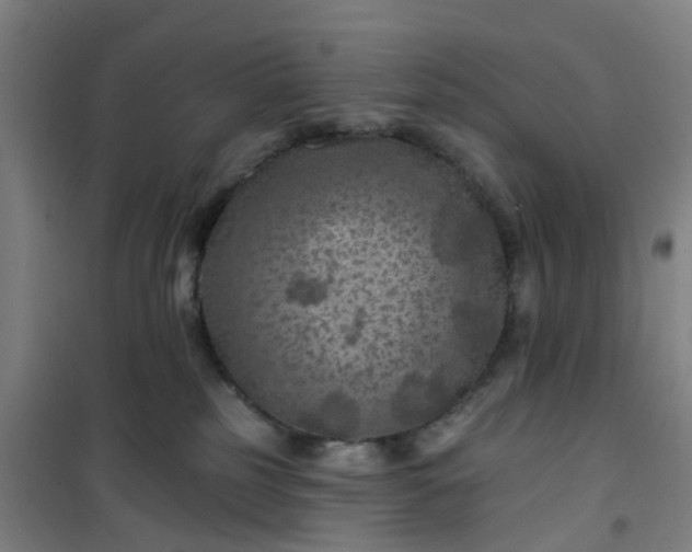 X0000101090185200807101557