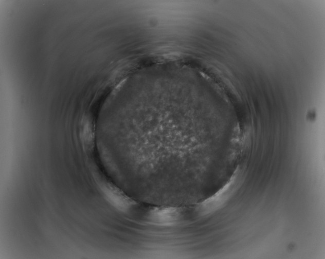 X0000101090186200807101557