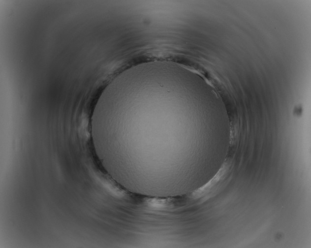 X0000101090187200807101557