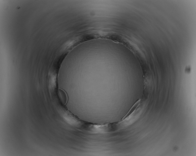 X0000101090188200807101557