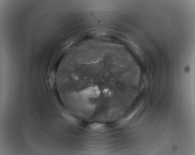 X0000101090189200807101557