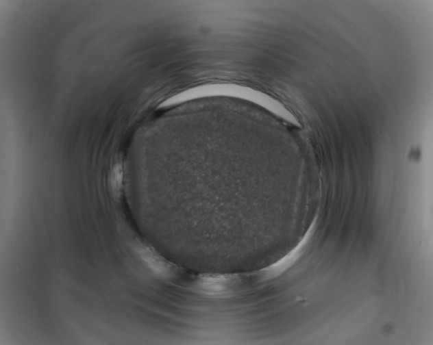 X0000101090190200807101557