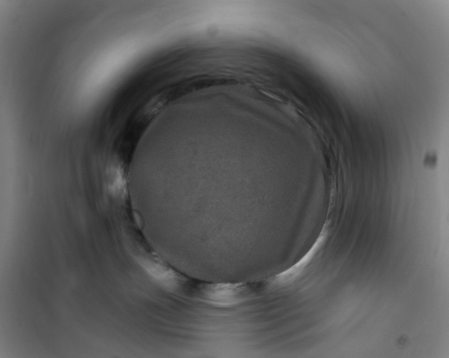 X0000101090191200807101557