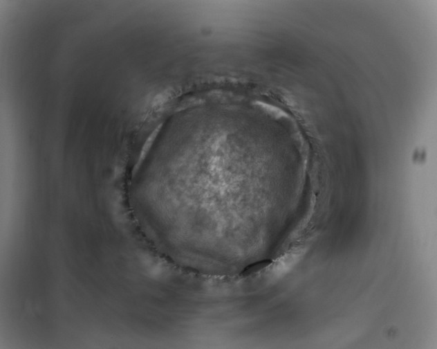 X0000101090192200807101557