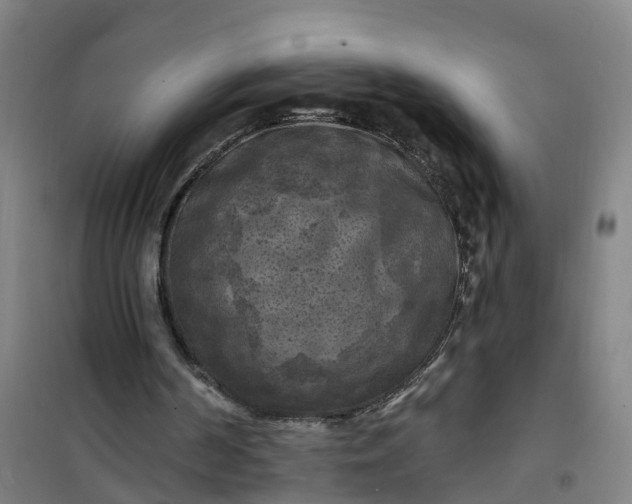 X0000101090194200807101556