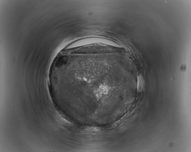 X0000101090195200807101556