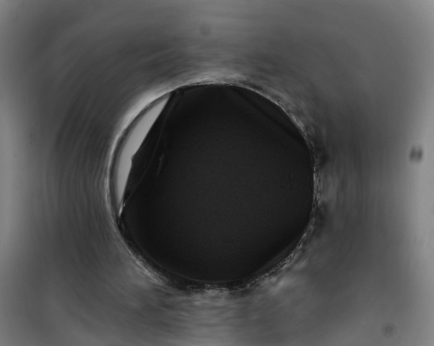 X0000101090196200807101556