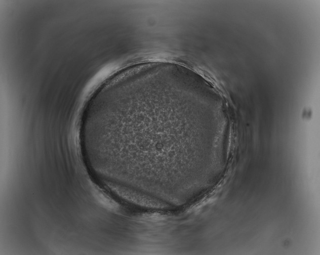 X0000101090197200807101556