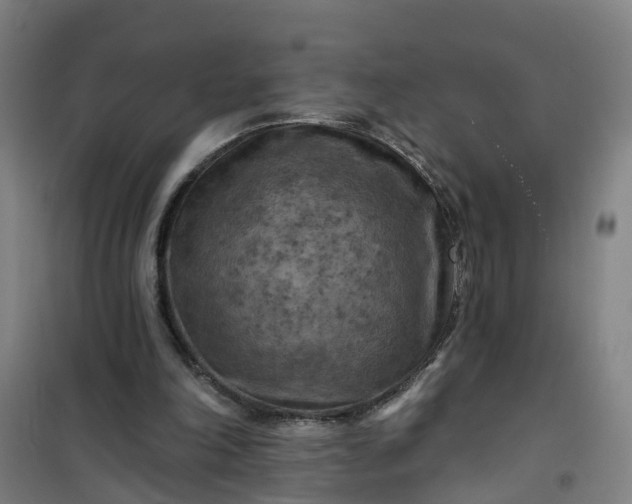 X0000101090198200807101556