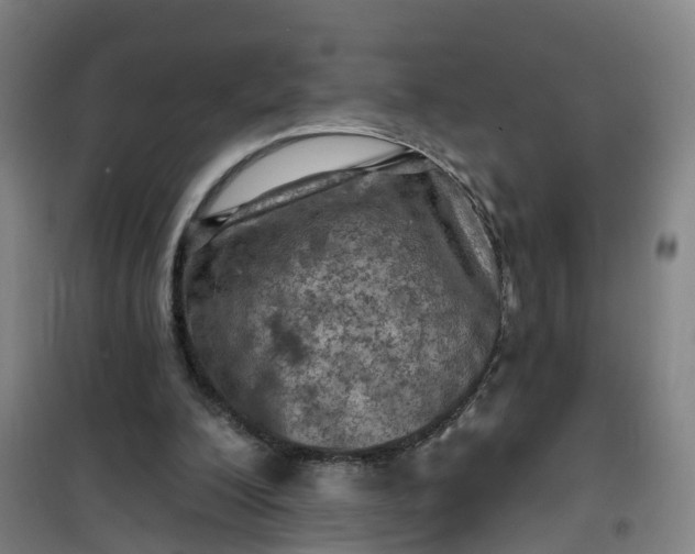 X0000101090200200807101556