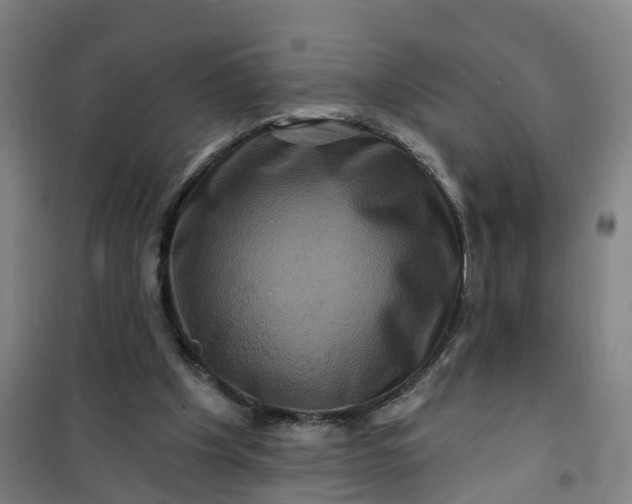 X0000101090201200807101556