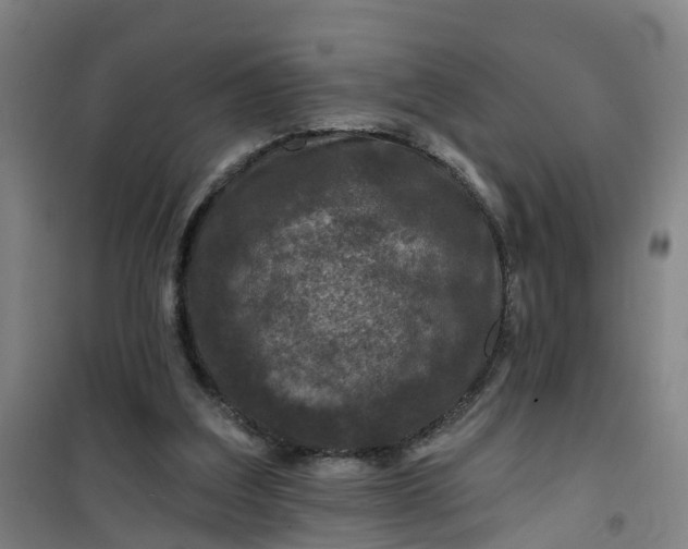 X0000101090203200807101556