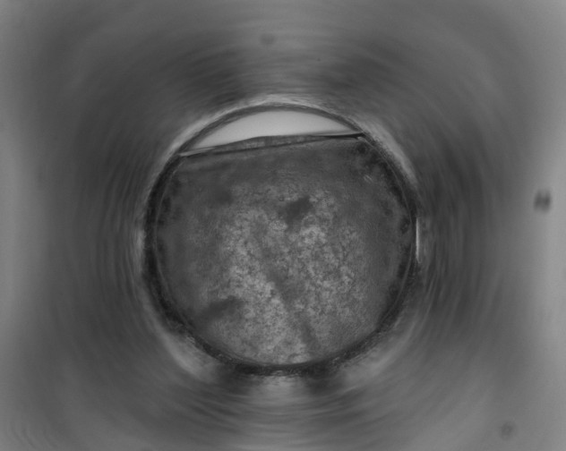 X0000101090204200807101556