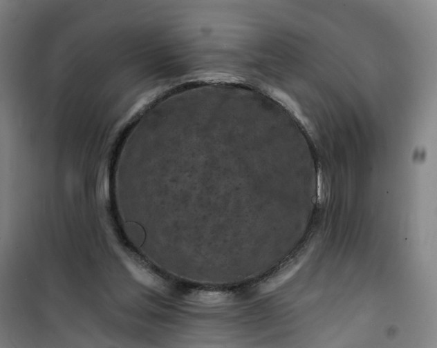 X0000101090205200807101556