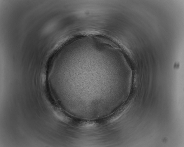 X0000101090206200807101556