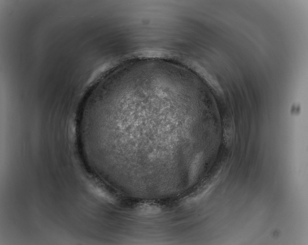 X0000101090207200807101556