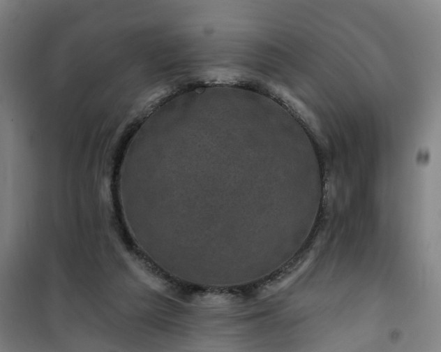 X0000101090209200807101556