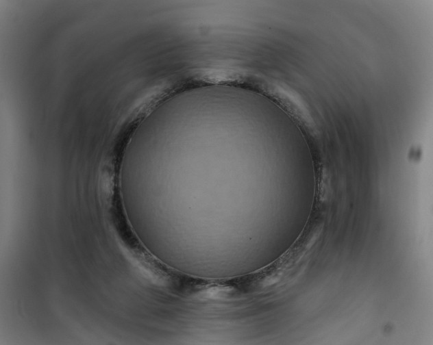 X0000101090210200807101556