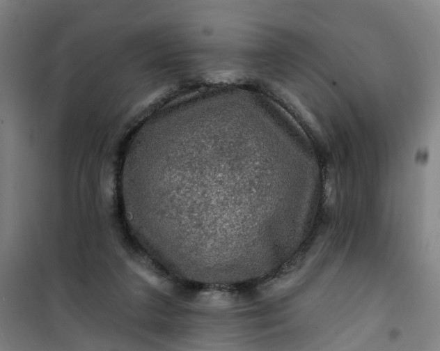 X0000101090211200807101556