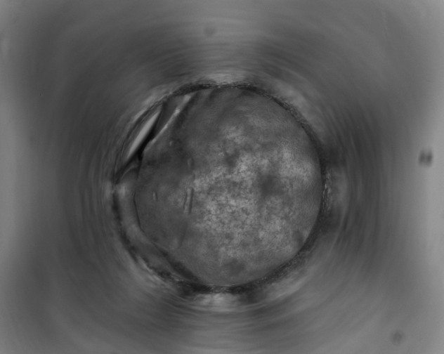 X0000101090212200807101556