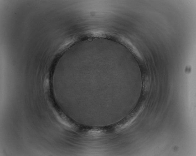 X0000101090213200807101556