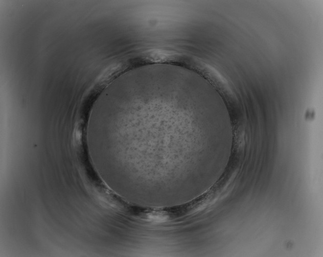 X0000101090214200807101556